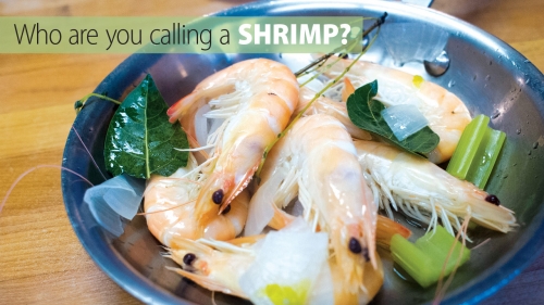 Photo of prepared shrimp in dish
