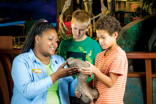 UABTeach student teaching two elementary school students about dinosaur fossils at the McWane Science Center.